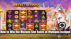 How to Win the Maxwin Slot Gates of Olympus Jackpot