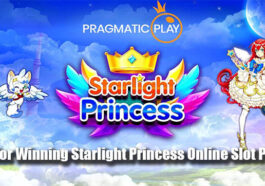 Tips for Winning Starlight Princess Online Slot Profits