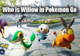 Who is Willow in Pokemon Go