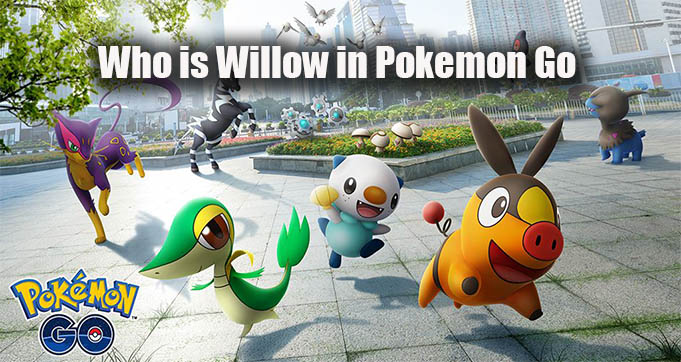 Who is Willow in Pokemon Go